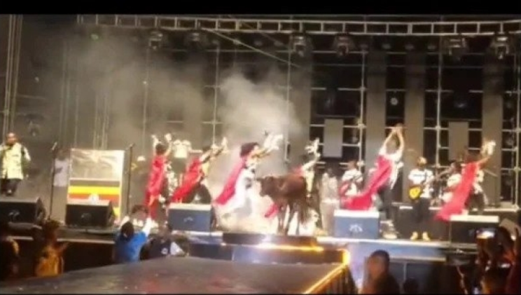 By entering the stage with a cow, Gravity was charged with witchcraft.