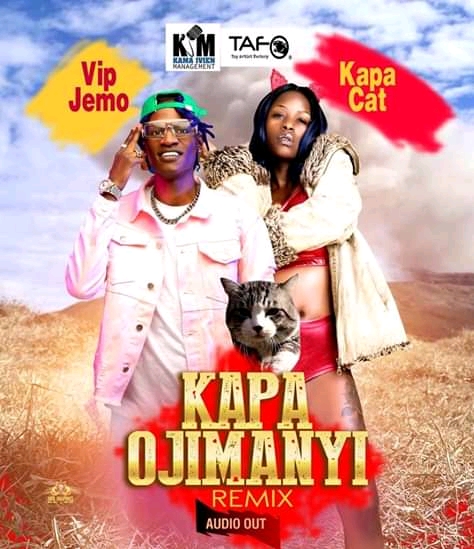 Kapa Cat