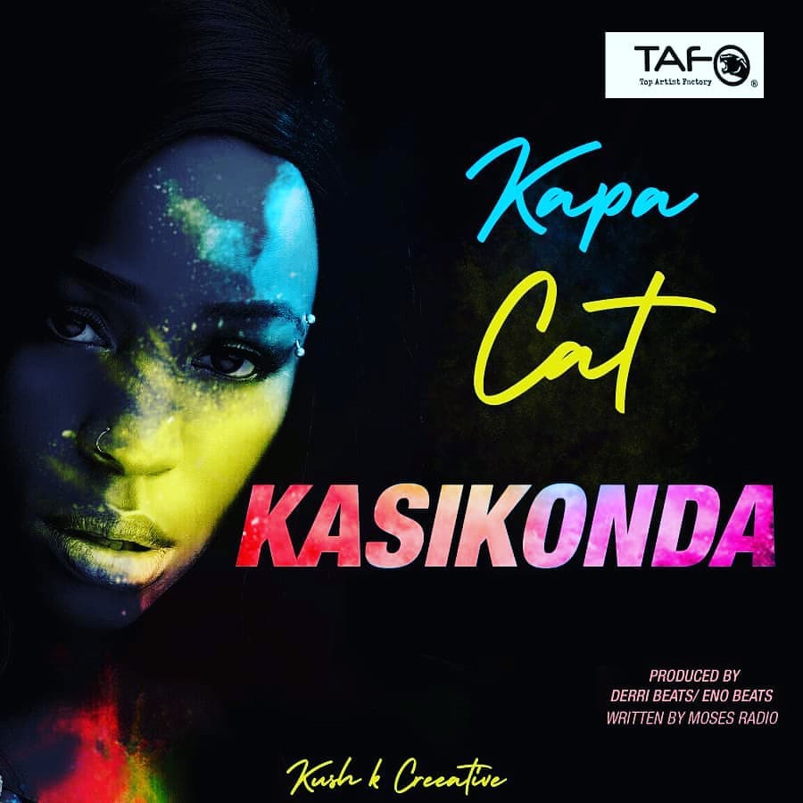 Kapa Cat