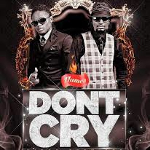 Radio And Weasel