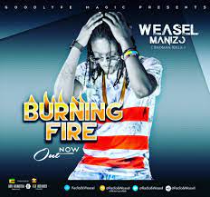 Radio And Weasel